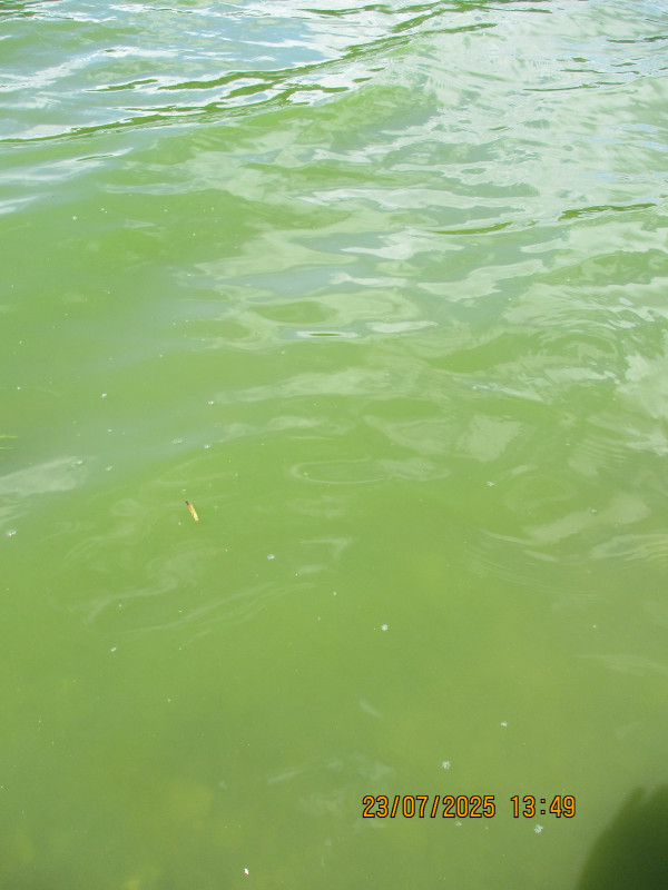 Kachlička - Foto č. 9