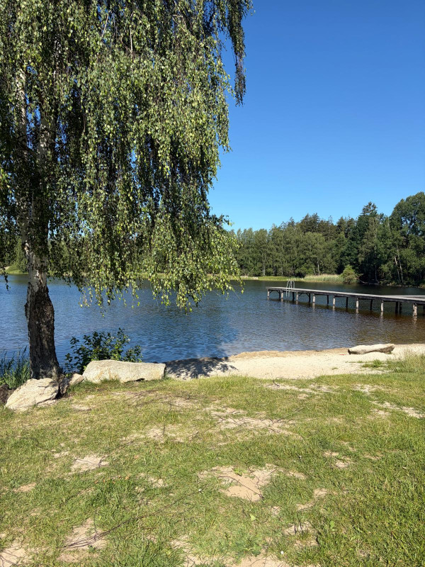 Pařezáč (Plačkovský rybník) - Foto č. 3