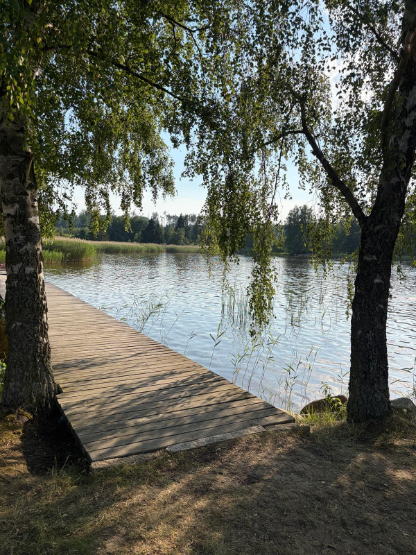 Pařezáč (Plačkovský rybník) - Foto č. 4