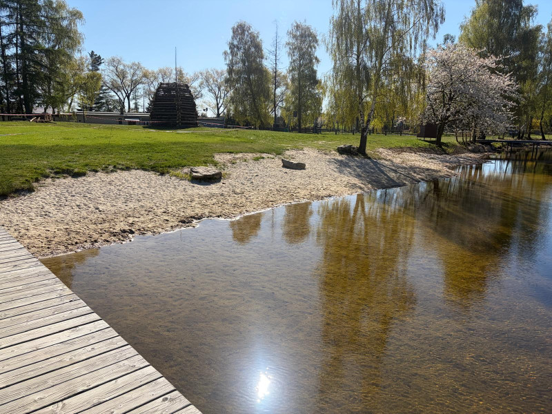 Pařezáč (Plačkovský rybník) - Foto č. 9