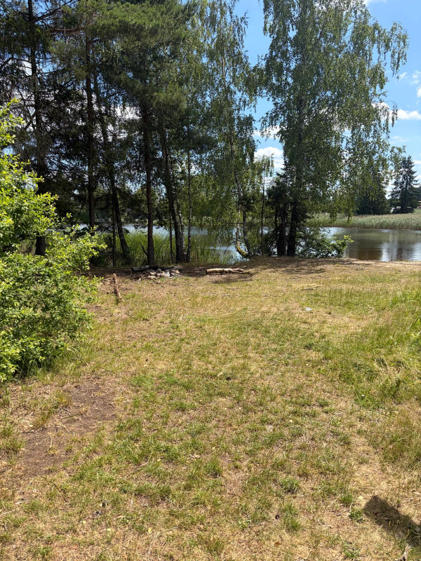Pařezáč (Plačkovský rybník) - Foto č. 11